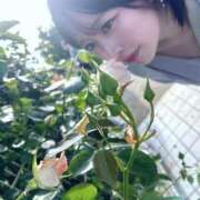 ヒメ日記 2025/05/06 14:50 投稿 あんず まだ舐めたくて学園渋谷校〜舐めたくてグループ〜