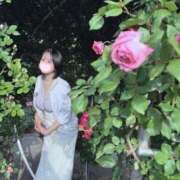 ヒメ日記 2025/05/22 21:50 投稿 あんず まだ舐めたくて学園渋谷校〜舐めたくてグループ〜