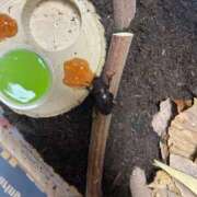 ヒメ日記 2025/06/19 20:03 投稿 あんず まだ舐めたくて学園渋谷校〜舐めたくてグループ〜