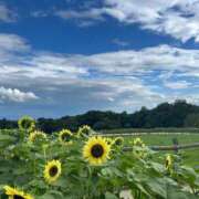ヒメ日記 2025/08/18 19:00 投稿 あんず まだ舐めたくて学園渋谷校〜舐めたくてグループ〜