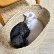 ヒメ日記 2025/09/03 18:29 投稿 あんず まだ舐めたくて学園渋谷校〜舐めたくてグループ〜