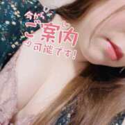 ヒメ日記 2025/05/17 21:06 投稿 ゆかり 癒し妻 札幌店