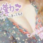 ヒメ日記 2025/11/05 21:16 投稿 ゆかり 癒し妻 札幌店