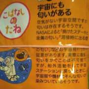 ヒメ日記 2025/04/22 00:36 投稿 よしみ 癒し妻 札幌店