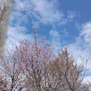 ヒメ日記 2025/04/24 23:46 投稿 よしみ 癒し妻 札幌店