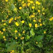 ヒメ日記 2025/05/16 20:36 投稿 よしみ 癒し妻 札幌店