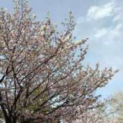 ヒメ日記 2026/04/21 23:26 投稿 よしみ 癒し妻 札幌店