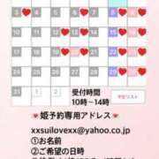 ヒメ日記 2025/02/23 23:27 投稿 桜井ゆづき ハールブルク