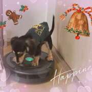 ヒメ日記 2024/12/25 00:03 投稿 なつき プレイボーイ(八王子)