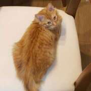 ヒメ日記 2025/03/06 01:41 投稿 なつき プレイボーイ(八王子)