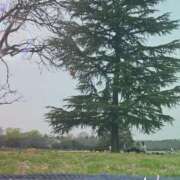 ヒメ日記 2025/03/28 16:28 投稿 なつき プレイボーイ(八王子)