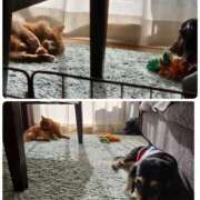 ヒメ日記 2025/04/22 12:38 投稿 なつき プレイボーイ(八王子)