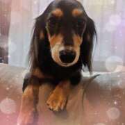 ヒメ日記 2025/05/12 07:51 投稿 なつき プレイボーイ(八王子)