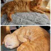 ヒメ日記 2025/05/13 23:35 投稿 なつき プレイボーイ(八王子)