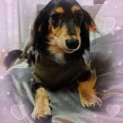 ヒメ日記 2025/05/28 01:50 投稿 なつき プレイボーイ(八王子)