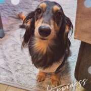 ヒメ日記 2025/07/02 11:37 投稿 なつき プレイボーイ(八王子)