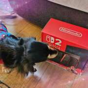 ヒメ日記 2025/07/16 15:28 投稿 なつき プレイボーイ(八王子)