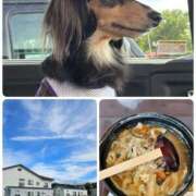 ヒメ日記 2025/07/20 12:56 投稿 なつき プレイボーイ(八王子)