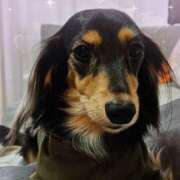 ヒメ日記 2025/08/07 09:59 投稿 なつき プレイボーイ(八王子)