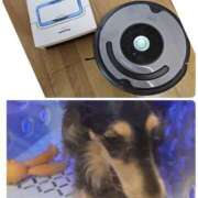 ヒメ日記 2025/09/04 08:33 投稿 なつき プレイボーイ(八王子)