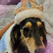 ヒメ日記 2025/09/24 09:02 投稿 なつき プレイボーイ(八王子)