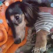 ヒメ日記 2025/11/03 00:44 投稿 なつき プレイボーイ(八王子)