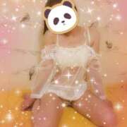 ヒメ日記 2026/01/19 07:58 投稿 なつき プレイボーイ(八王子)