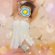 ヒメ日記 2026/01/24 11:35 投稿 なつき プレイボーイ(八王子)