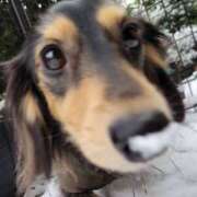 ヒメ日記 2026/02/10 00:02 投稿 なつき プレイボーイ(八王子)