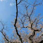 ヒメ日記 2026/03/28 18:18 投稿 なつき プレイボーイ(八王子)