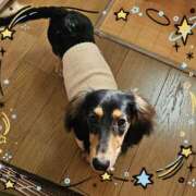 ヒメ日記 2026/04/22 14:52 投稿 なつき プレイボーイ(八王子)