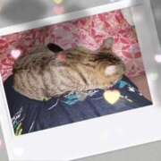 もみじ 動けません😂 ぽっちゃり素人専門店 愛されぽっちゃり倶楽部 古川店