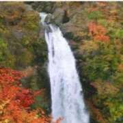 ヒメ日記 2025/11/27 11:07 投稿 もみじ ぽっちゃり素人専門店 愛されぽっちゃり倶楽部 古川店