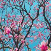 ヒメ日記 2025/03/19 13:33 投稿 あい 和歌山人妻援護会