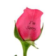 ヒメ日記 2025/05/02 18:53 投稿 あい 和歌山人妻援護会