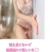 ヒメ日記 2025/02/13 10:33 投稿 カンナ ベガス