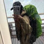 ヒメ日記 2025/07/10 14:54 投稿 花音（かのん） 渋谷角海老