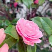 ヒメ日記 2026/03/20 17:10 投稿 花音（かのん） 渋谷角海老