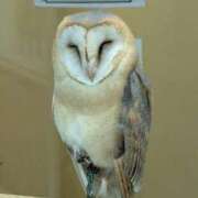 ヒメ日記 2025/09/29 09:08 投稿 いおりさん いけない奥さん 十三店