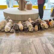 ヒメ日記 2025/10/25 12:14 投稿 いおりさん いけない奥さん 十三店