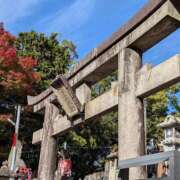 ヒメ日記 2025/11/23 10:11 投稿 いおりさん いけない奥さん 十三店