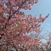 ヒメ日記 2025/03/13 15:32 投稿 結子 プレイボーイ(八王子)