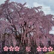 ヒメ日記 2025/03/31 15:41 投稿 結子 プレイボーイ(八王子)