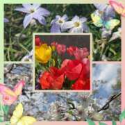 ヒメ日記 2025/04/05 15:36 投稿 結子 プレイボーイ(八王子)