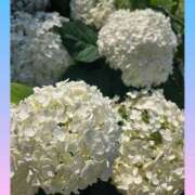 ヒメ日記 2025/06/18 15:27 投稿 結子 プレイボーイ(八王子)