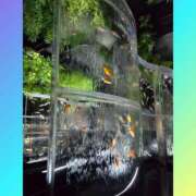 ヒメ日記 2025/08/30 15:36 投稿 結子 プレイボーイ(八王子)