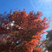 ヒメ日記 2025/11/26 15:47 投稿 結子 プレイボーイ(八王子)