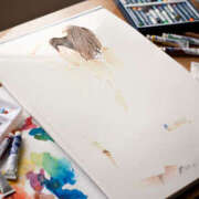 ヒメ日記 2025/12/04 15:17 投稿 結子 プレイボーイ(八王子)