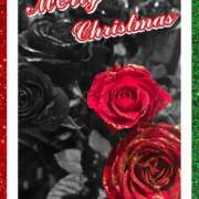 ヒメ日記 2025/12/25 15:03 投稿 結子 プレイボーイ(八王子)