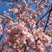 ヒメ日記 2026/02/21 15:33 投稿 結子 プレイボーイ(八王子)